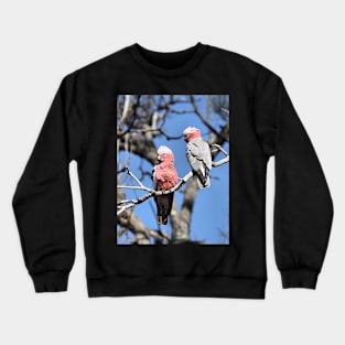 Australian Galahs Crewneck Sweatshirt